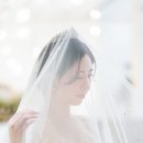 그린티스냅 이미지