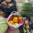 용방면사무소 앞 이미지