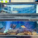 남산횟집 이미지