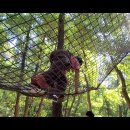 에벤에셀어린이집 이미지