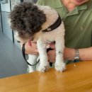 북서울꿈의숲(메이린 식당) 이미지