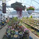 하늘바람꽃농원 이미지