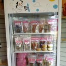 강아지 꼬야 이미지