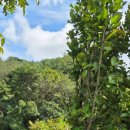 황토방한옥민박 이미지