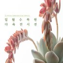 일월 이미지
