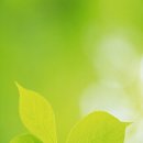 김광섭 카카오 검색결과