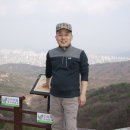 누리꿈경희한의원 Daum카페