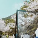 동삼1동-3 이미지