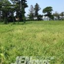 토산2리사무소 이미지