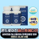 초록상어 이미지