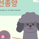 도담도담동물병원 이미지