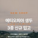 캅카와