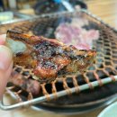 GR(해남군)-[대흥사길]-하-3 | 전라남도 진도/해남 2박 3일 여행, 대흥사 주변 돼지...돌고래숯불구이 마늘생갈비 양념갈비 먹어본 후기