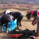 다섯 난장이 이미지