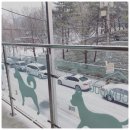 권선동 1013-7 | 수원애견까페 초코우유애견까페에 다녀왔답니다^^