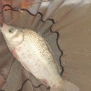 연곡낚시터 이미지