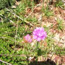 정원회관 이미지