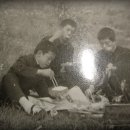 홍기농장 이미지