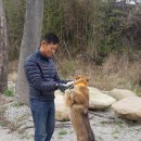 라이카 이미지
