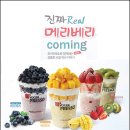 메리망고 이미지