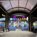 갈성 | [속초여행] 속초맛집 대포항맛집 회센터맛집 - 갈성활어 내돈내산