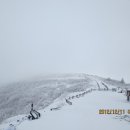 노고단-11 Daum카페