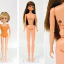 리카 이미지