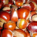 가서농장 이미지