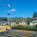 봉평초등학교 이미지