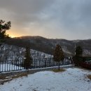 바우바우애견펜션 이미지