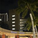 쉐라톤 호텔 부근 | 인생 뷰를 보여준 쉐라톤 와이키키 다이아몬드헤드뷰