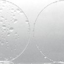 으뜸50안경 해운대역점 이미지