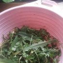 산북농장 이미지