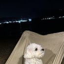 위드마롱 이미지