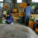 서도영농조합법인 이미지