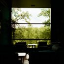 스마트폰 사진촬영과 SNS 활용 | 논산 스마트폰 촬영 교육 다녀왔어요 | 충남신용보증재단 디지털 교육 후기