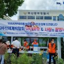 수정-119 이미지