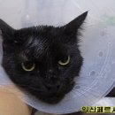 헤어;나봄