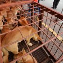 순조농장 이미지