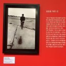 관람후기] 부산 현대 미술관 - 백남준, 백남준, 그리고 백남준