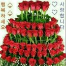 꽃 - 수원시 장안구 장안로 394 | 꽃
