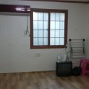 산호동500 이미지