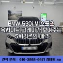 옥사이드 | BMW 530i M 스포츠 옥사이드 그레이 출고, 제원부터 옵션까지!