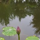 부영농원 이미지