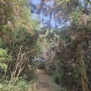 삼달리-6 | 삼달리 주변 산책로 성읍 민속마을의 남산봉(망오름) 탐방로 소개