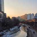 도매유통 중앙점 | [이사기록] 신당~동묘 시장별 위치/후기 (황학동 중앙시장, 서울풍물시장, 동묘 벼룩시장, 청계천...