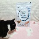 샤이니덴탈 이미지