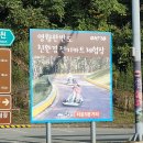 안새내길 | 영월 놀거리 &amp; 한반도 전기카트에서 즐긴 가족 레이싱