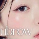 리유브로우