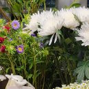 차이콥스키 콩쿠르 우승자 위너콘서트 | Utrecht 리스트 피아노 콩쿠르